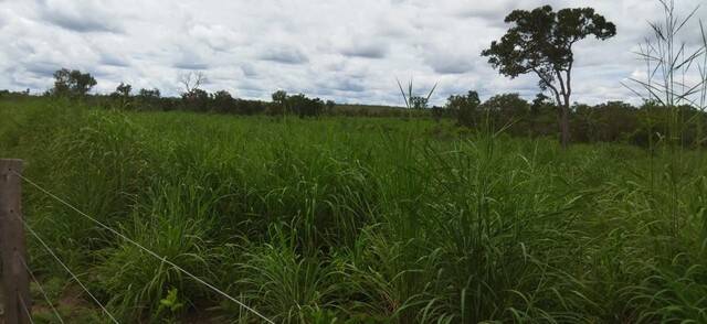 Fazenda na Cidade de Novo Acordo - TO 6