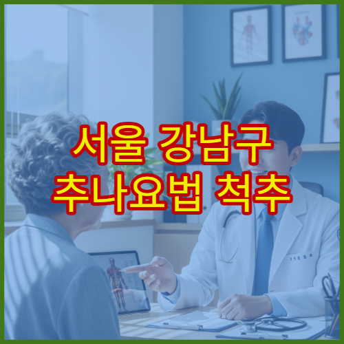 서울 강남구 추나요법 척추 이상 증상 교정 한방병원 치료 안내