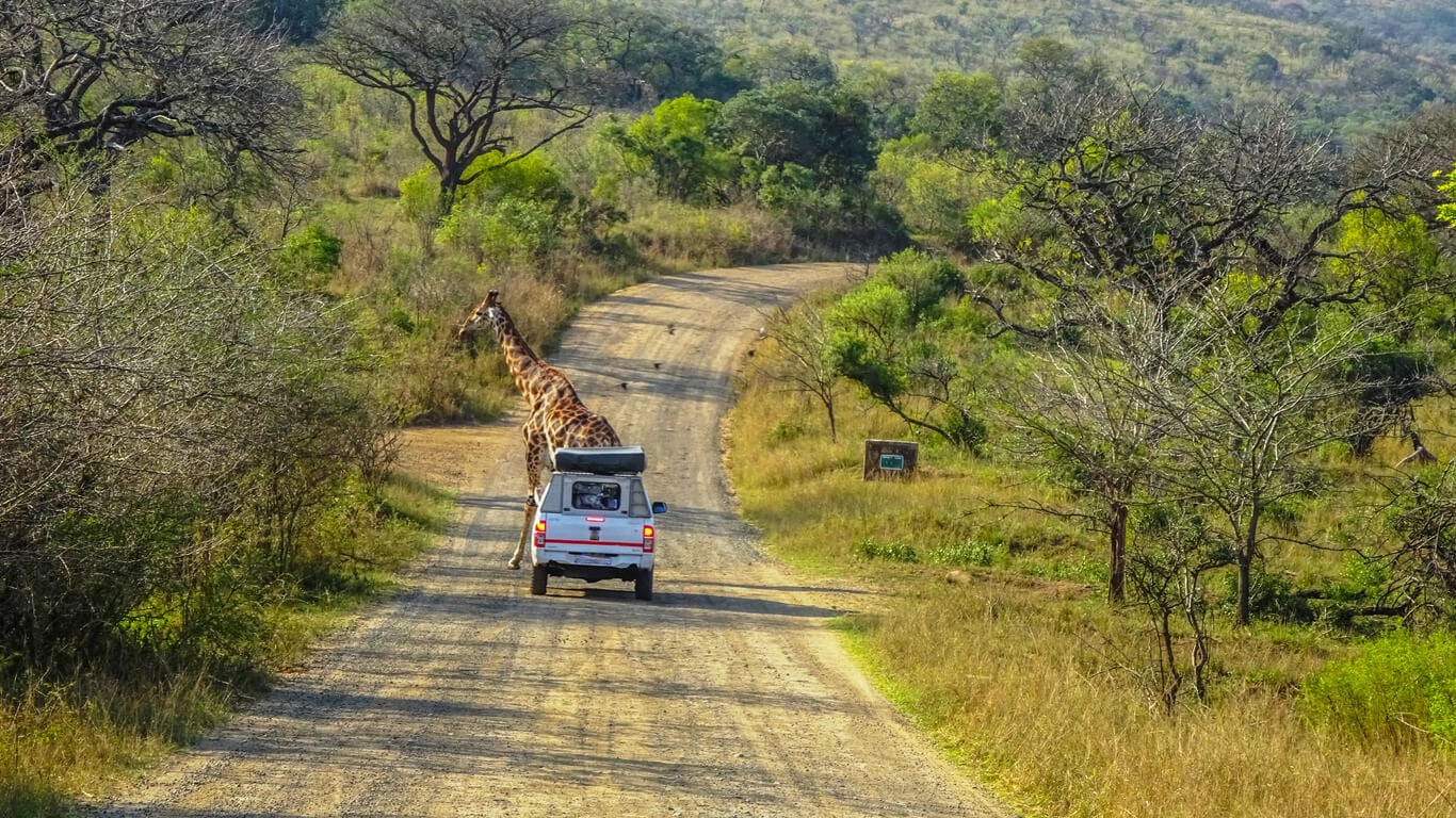 -Couple Autotour Afrique du Sud-: quoi découvrir comme belle campagne ou extérieur ?