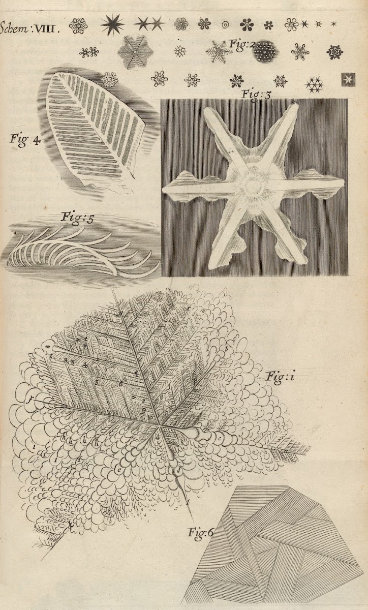 Microscopic view of several kinds of frozen figures 1665