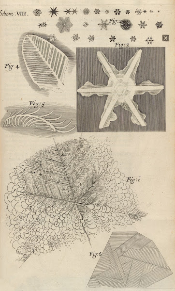 Microscopic view of several kinds of frozen figures 1665