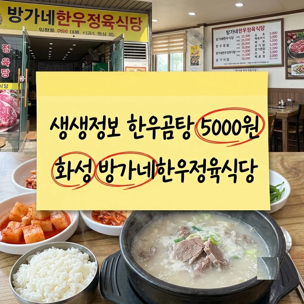 생생정보 한우곰탕 5000원 화성 방가네한우정육식당
