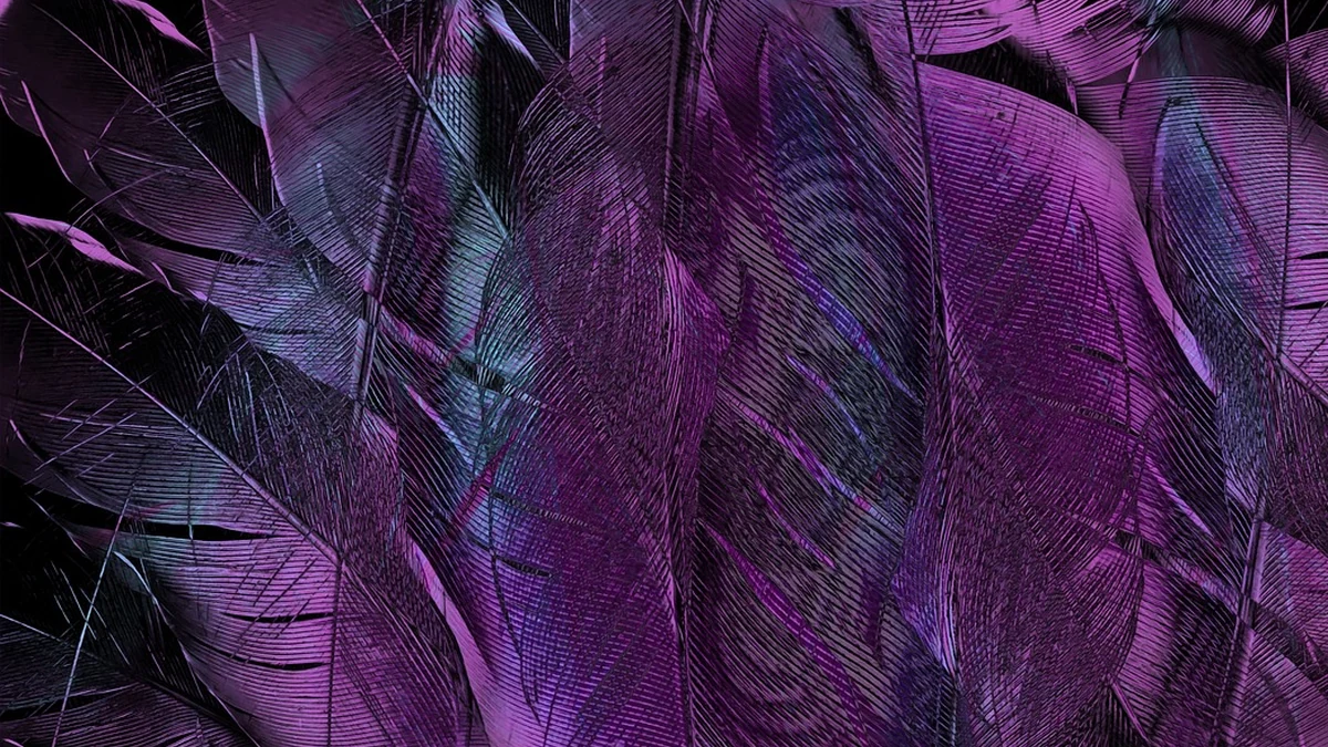 2026년 주거급여 지원금액 산정 기준과 신청 준비물 안내