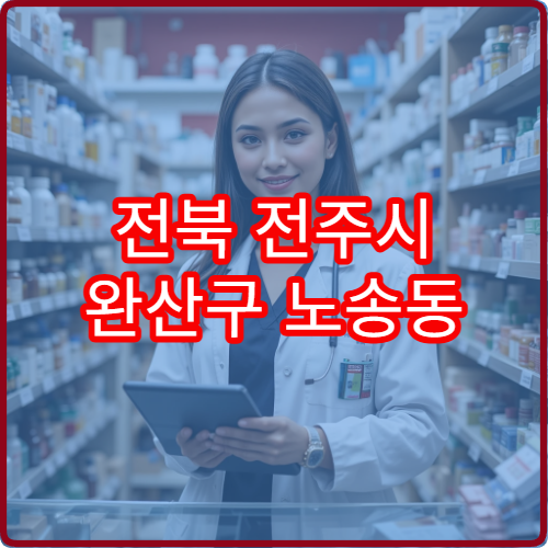 전북 전주시 완산구 노송동 일요일 휴일 문 여는 당번 약국 정리