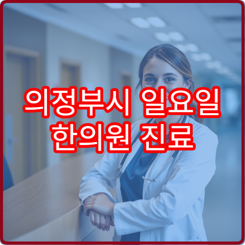 의정부시 일요일 한의원 진료 병원 교통사고 후유증 치료 가능