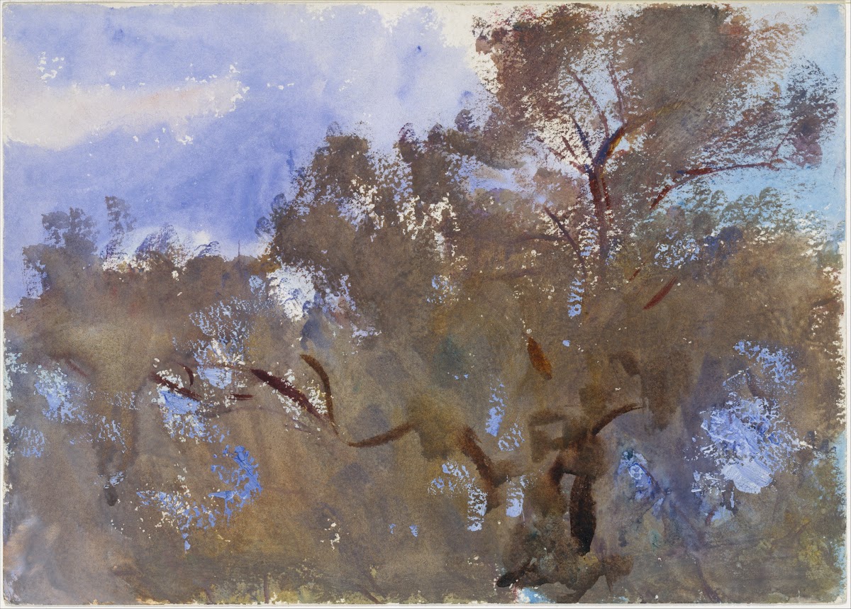 Treetops against Sky 190913