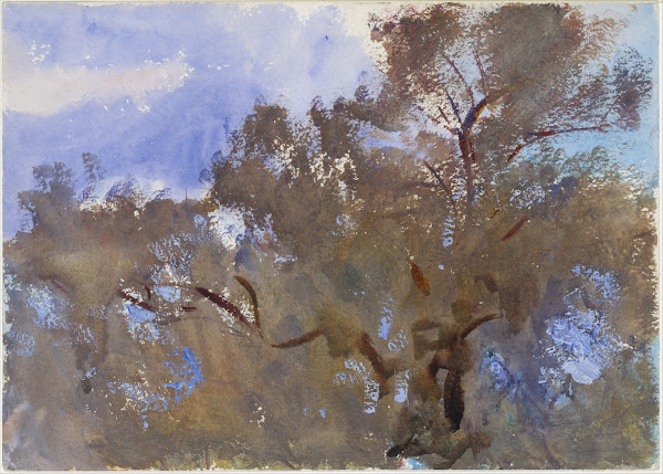 Treetops against Sky 190913