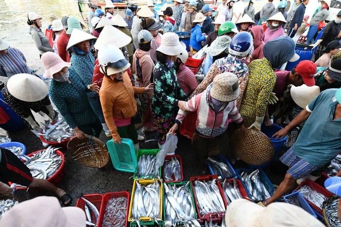Đông nghịt người đón 'lộc biển' ở bến cá Vĩnh Trường lúc rạng sáng - Báo Tiền Phong