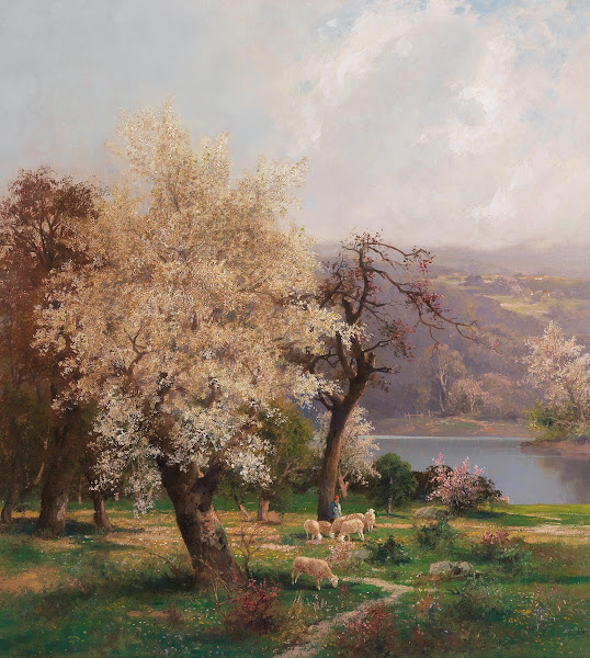 A Lake Landscape in Spring