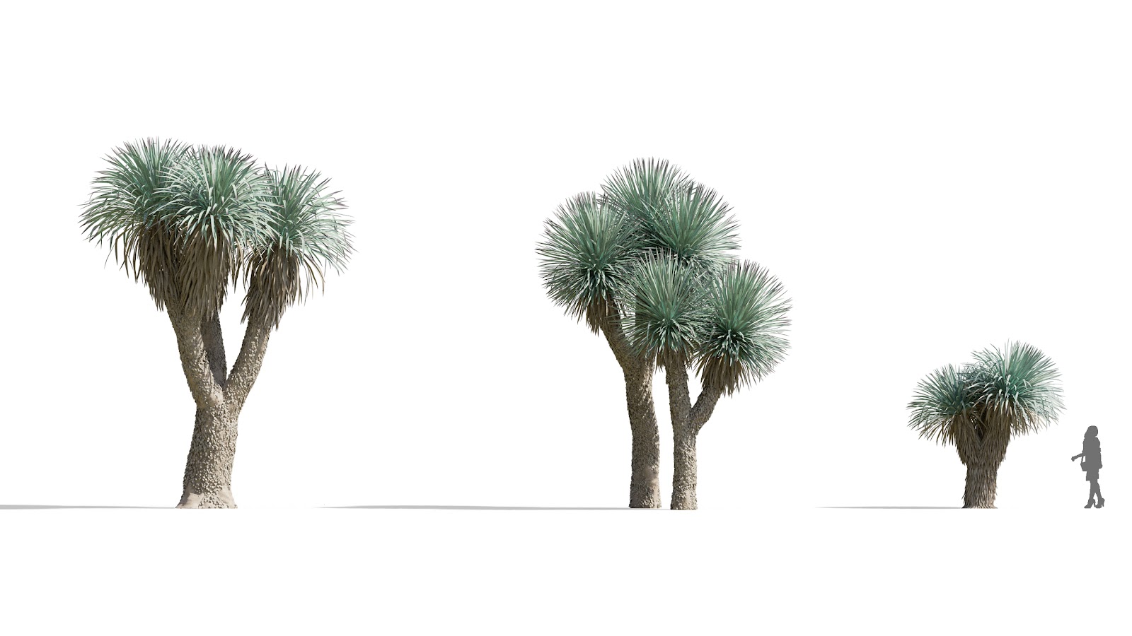 Maxtree - Plant Models Vol.73