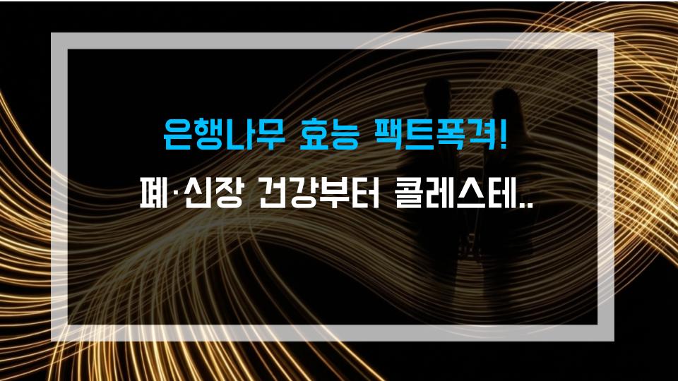 은행나무 효능 팩트폭격! 폐·신장 건강부터 콜레스테롤까지, 몰랐던 진짜 효과 5가지