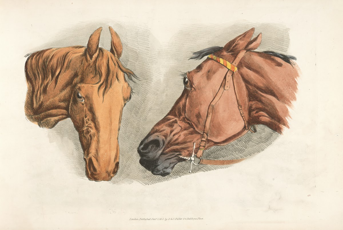 Two horse heads 1817 1818