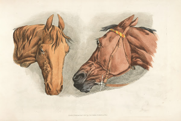 Two horse heads 1817 1818