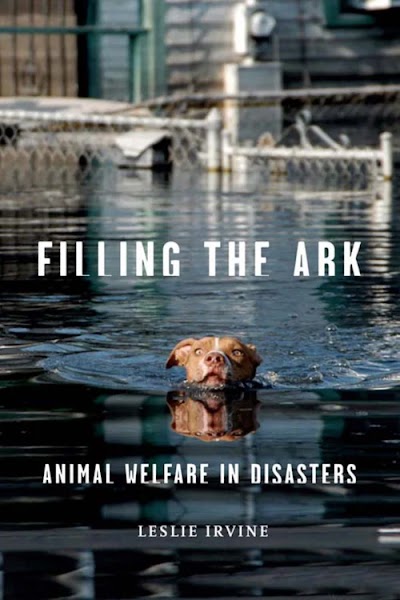 Filling the Ark 92078
