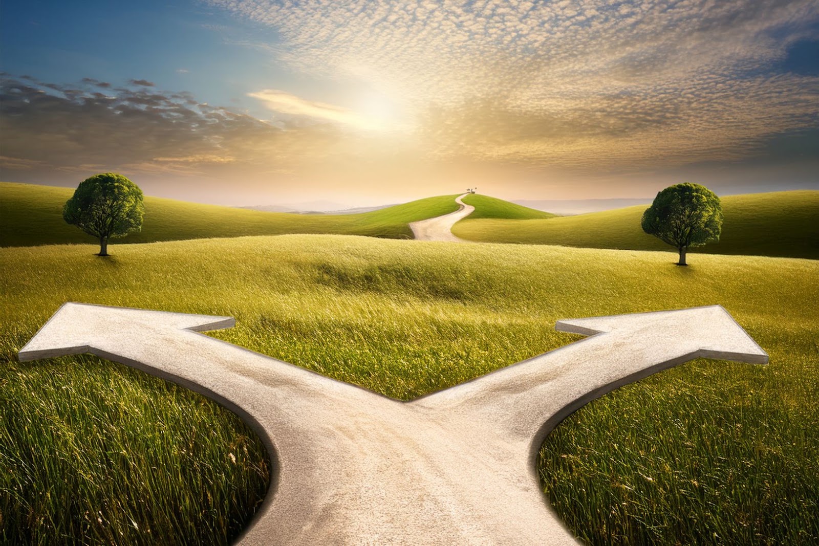 forked path in green hills representing travel choices and decision making