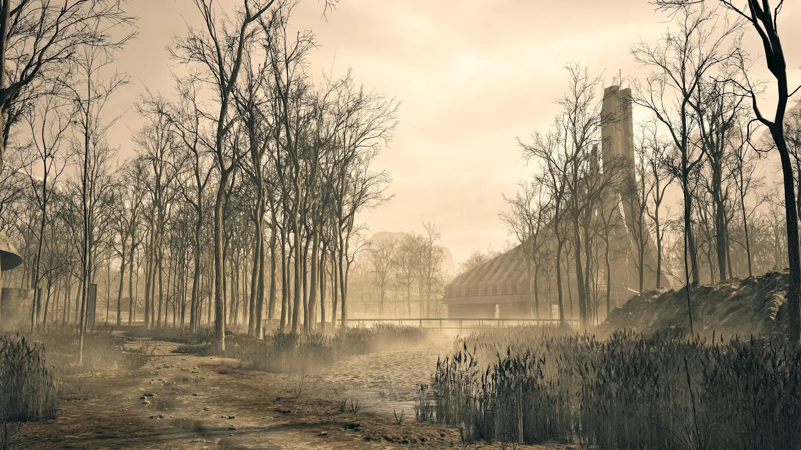 Desolate Forest With Futuristic Structure - Digital Concept Art 5K Wallpaper (6144x3456)