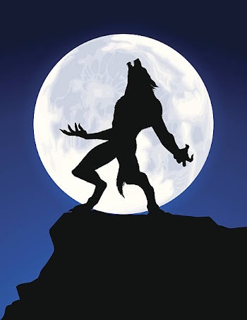 Wolf Moon Picture