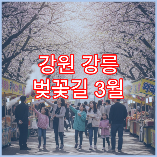 강원 강릉 벚꽃길 3월 비 오는 날 대체 실내 카페 추천