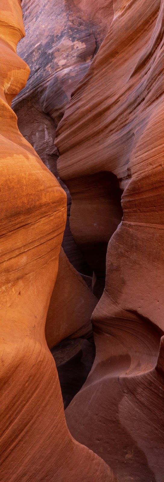 narrow redrock canyon