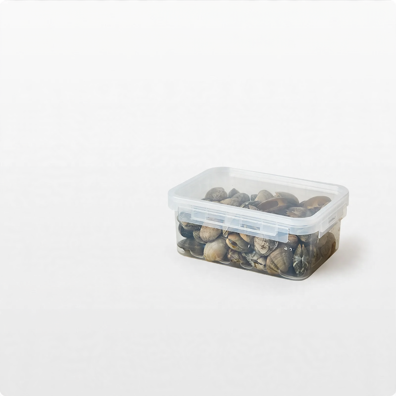 Food storage box, food-grade, microwave-safe