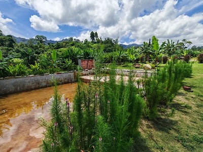 Tanah 1.5 Ekar + Villa Campsite Janda Baik — foto 4/10
