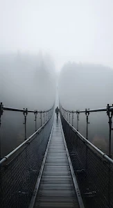 Foggy Suspension Bridge Silhouette Moody Forest Crossing