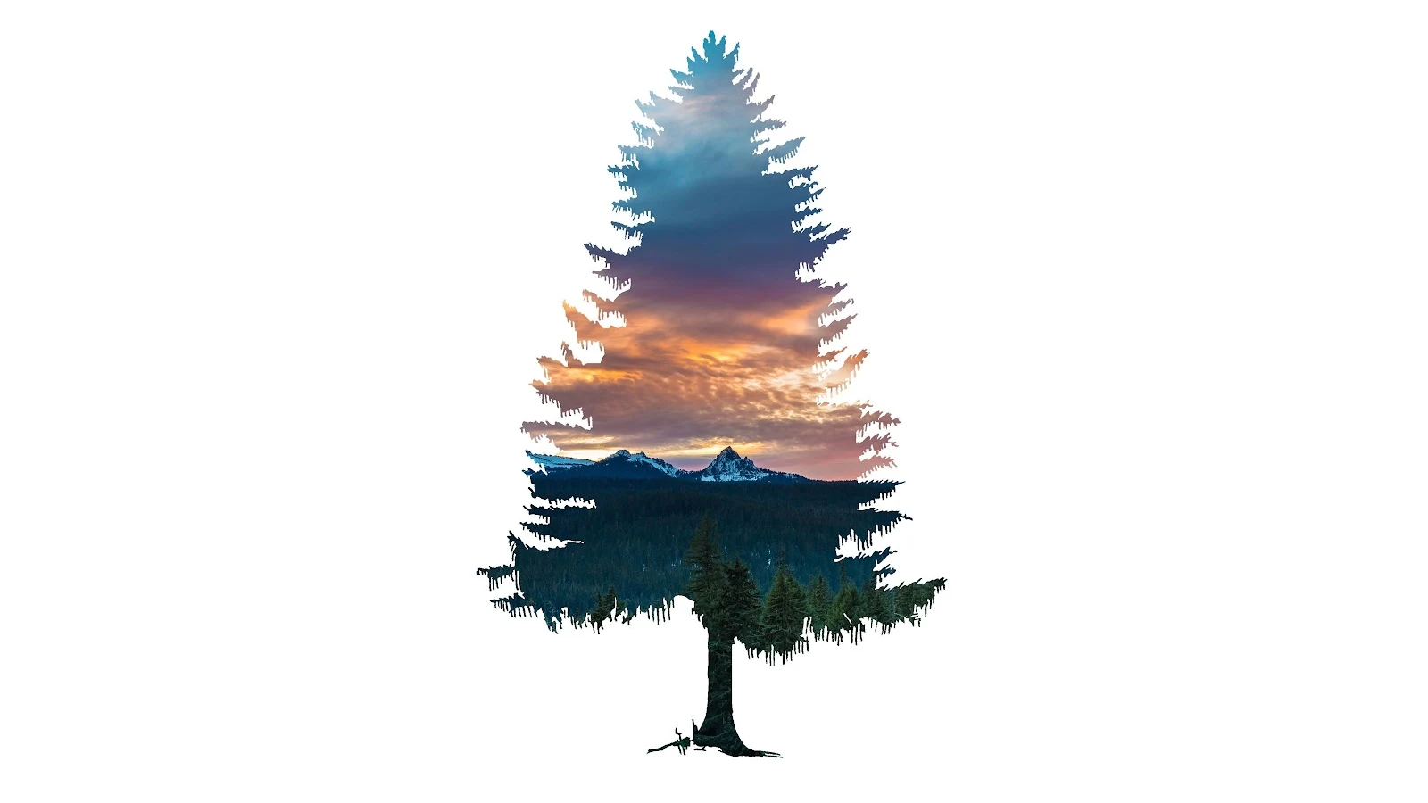 Simple Background, Nature, Minimalism, Forest, Trees 4K Desktop Wallpaper