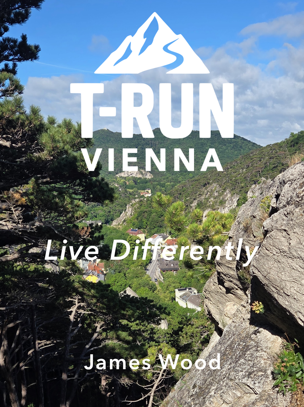 T-RUN Vienna Cover