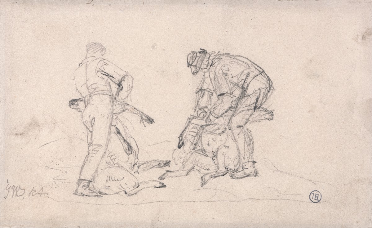 Sheep shearing