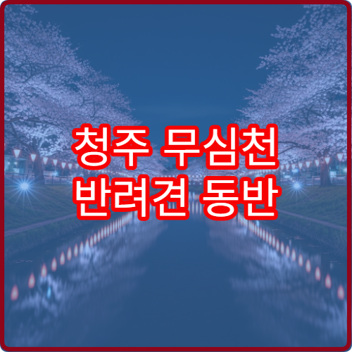 청주 무심천 반려견 동반 벚꽃길 산책 안전 구간 안내