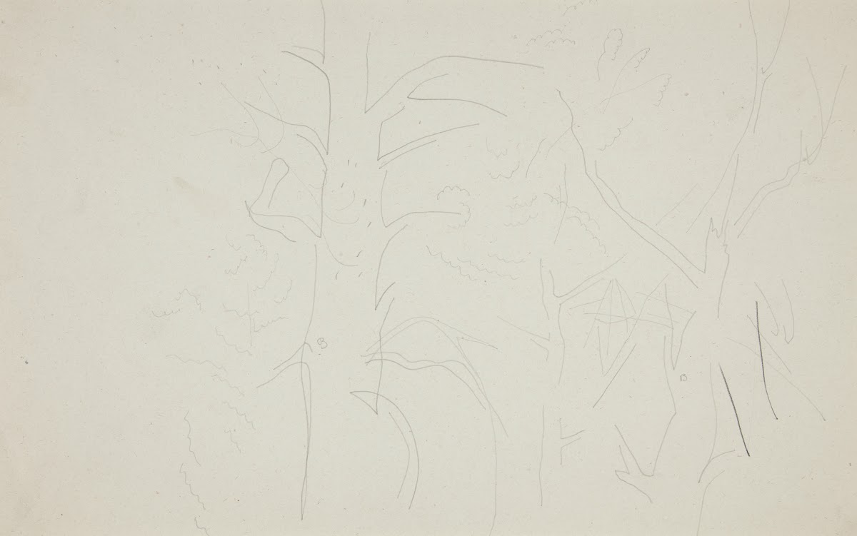 Trees ca1916