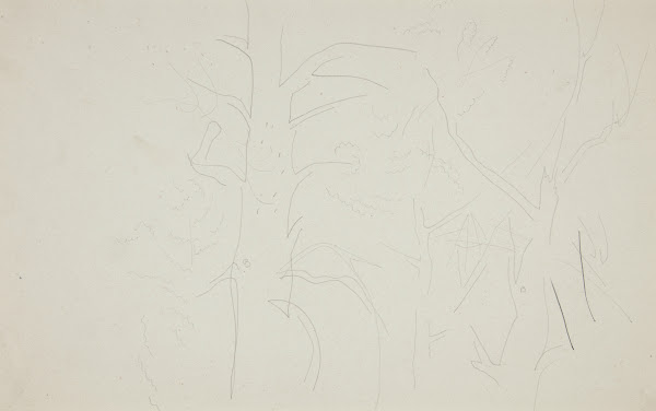 Trees ca1916