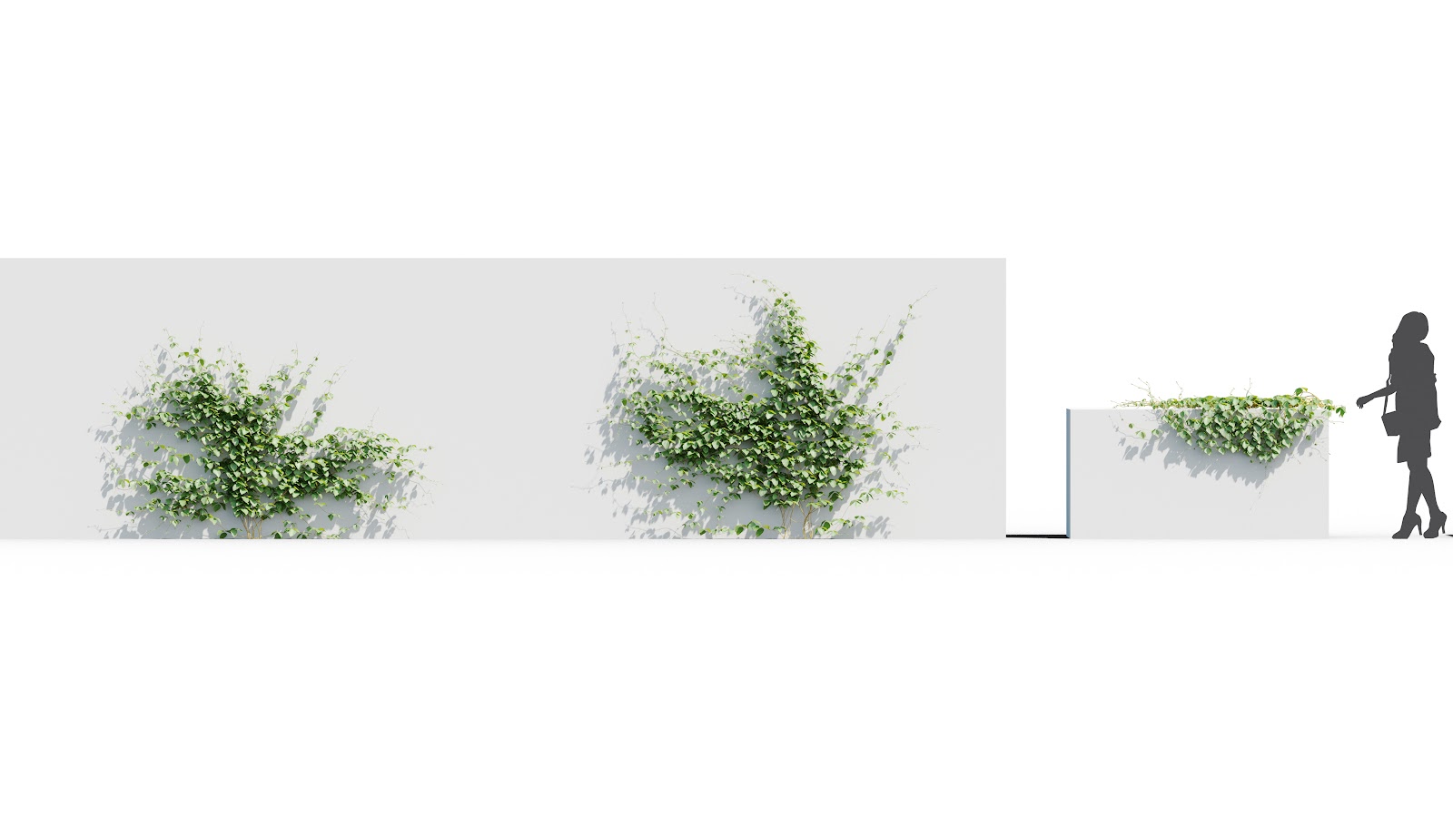 Maxtree - Plant Models Vol.37