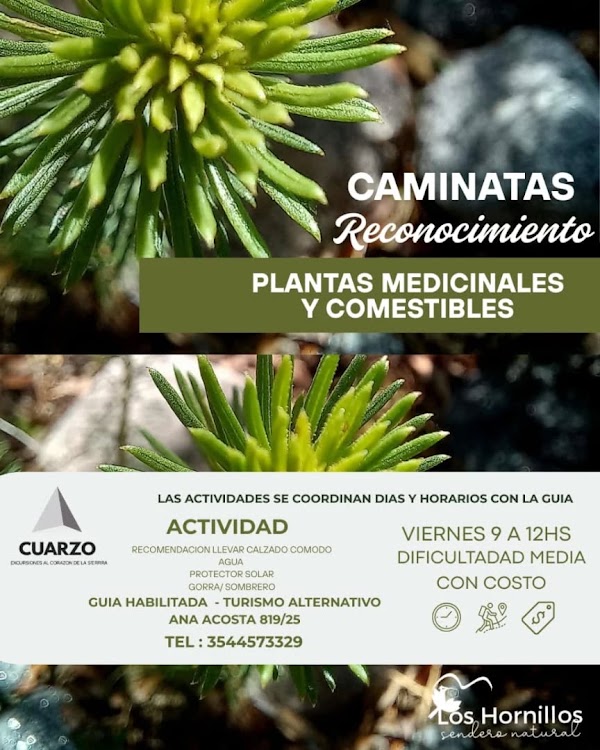 RECONOCIMIENTO SENSORIAL DE PLANTAS
