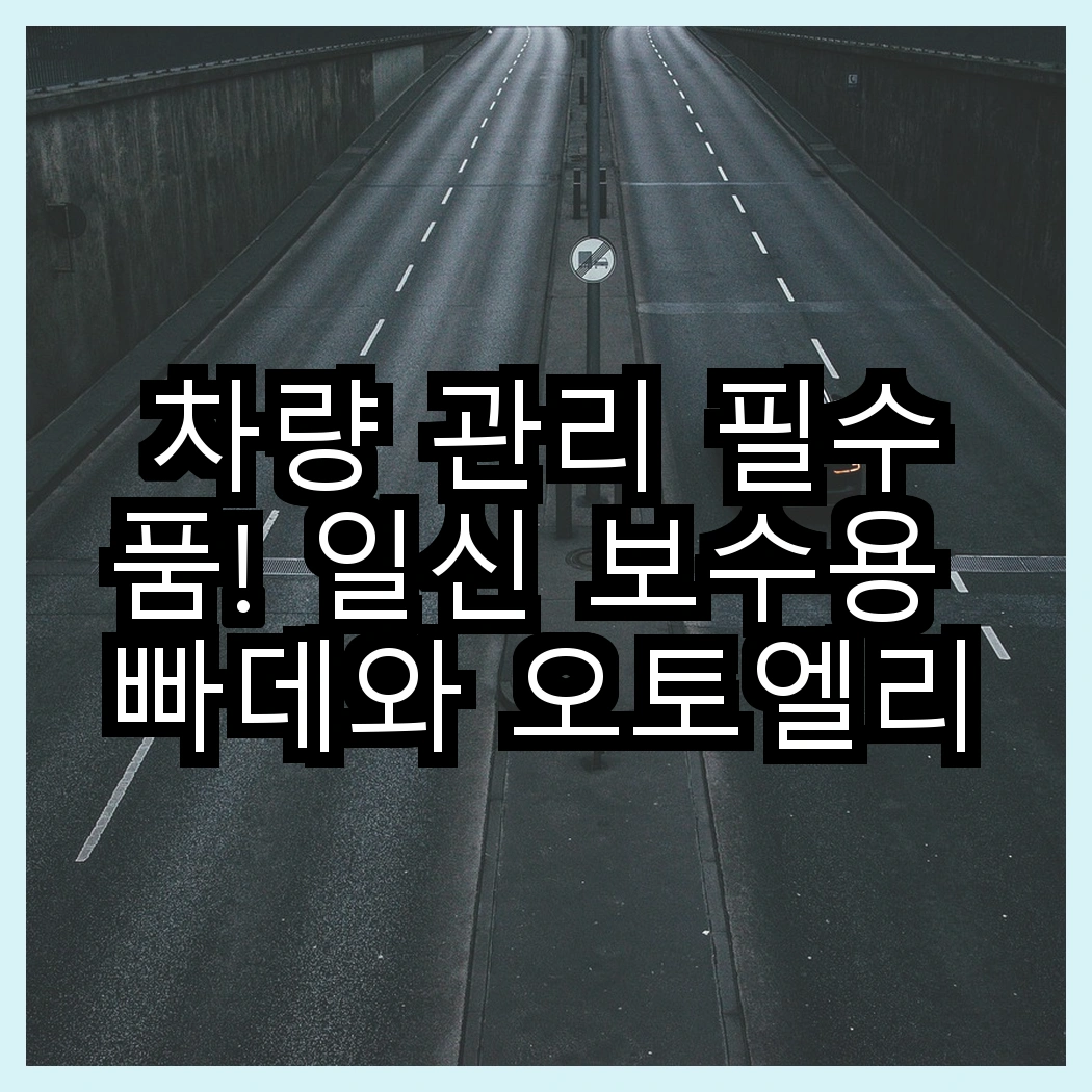 차량 관리 필수품! 일신 보수용 빠데와 오토엘리트 안전벨트 클립, 어떤 차이가 있을까? 썸네일