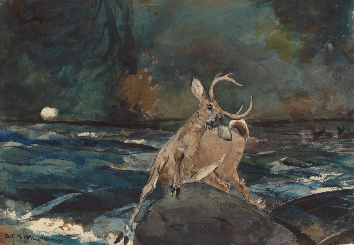 A Good Shot Adirondacks 1892