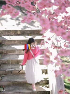 Lời Hứa Đến Từ Địa Ngục