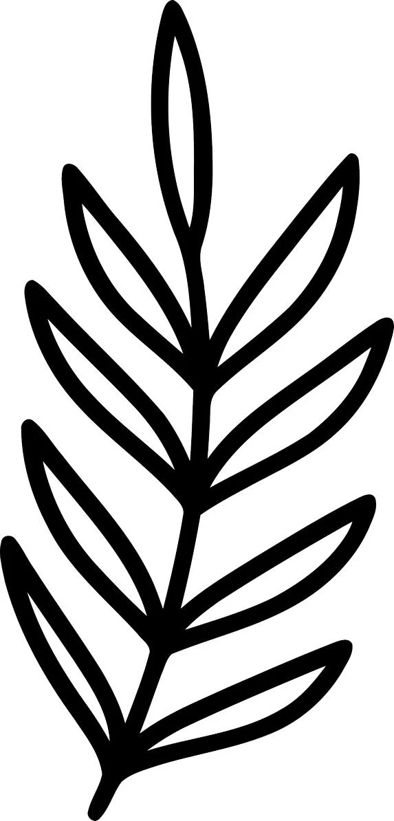 A simple black line art drawing of a wildflower stem with multiple leaves, in a minimalist farmhouse style.