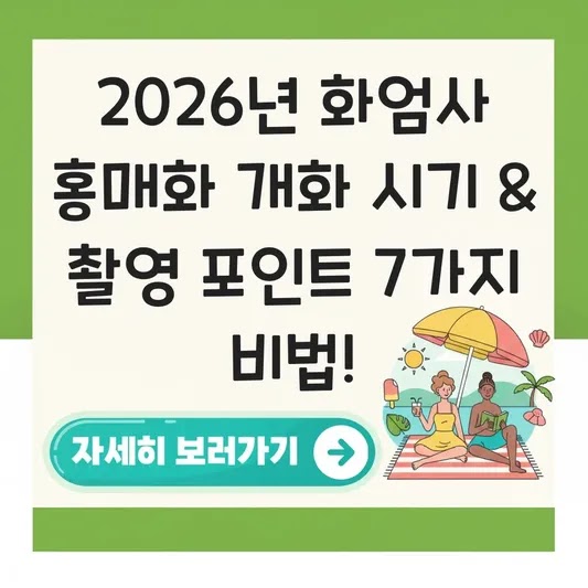 화엄사 홍매화 개화 시기 및 사진 촬영 포인트 대표 이미지