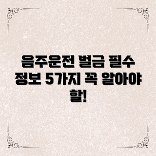 음주운전 벌금, 벌금 기준, 음주운전 법률, 음주운전 처벌, 음주 측정 방법