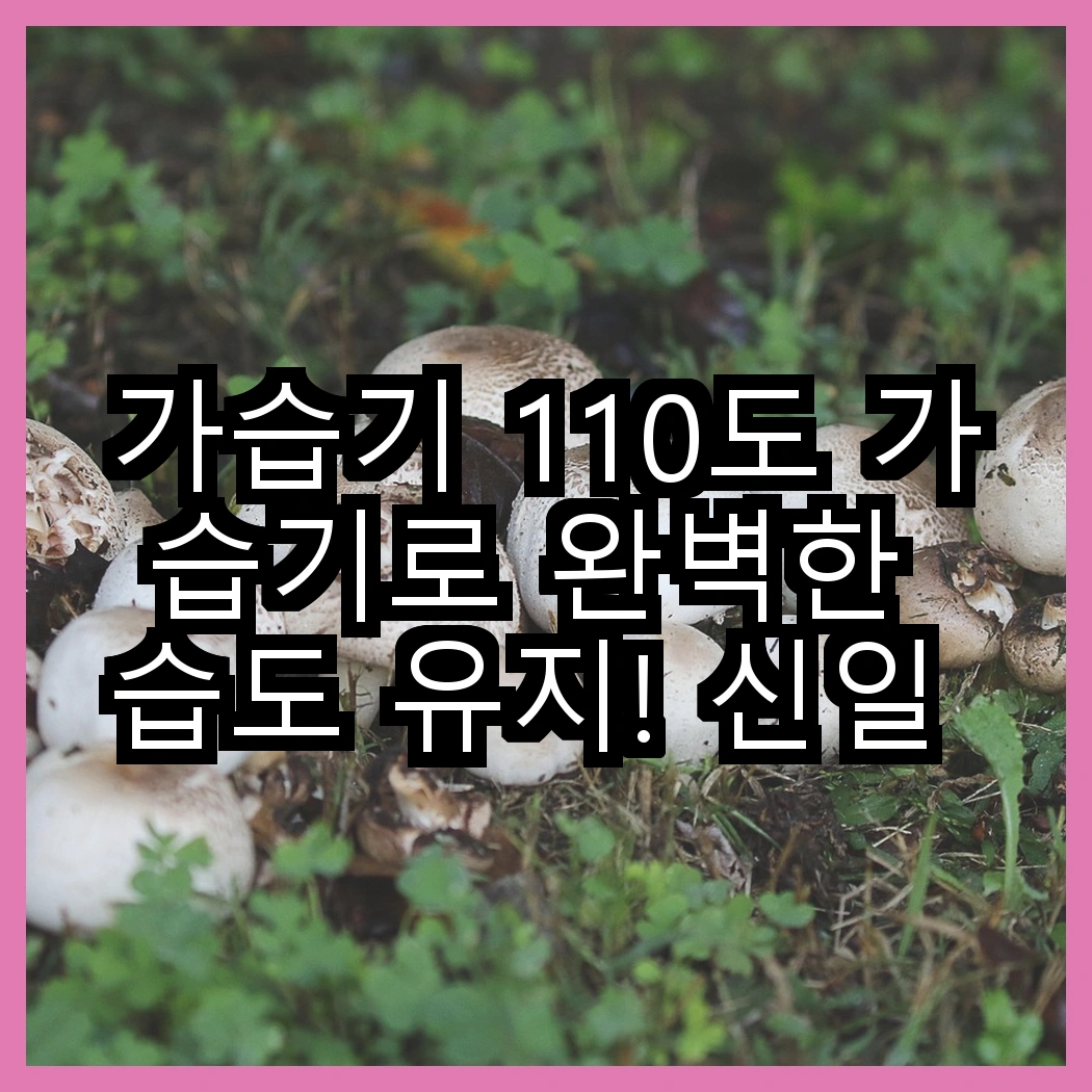 가습기 110도 가습기로 완벽한 습도 유지! 신일 110도 살균 물멍 가습기 대 신일 신생아 모델, 어떤 장점이 있을까? 썸네일