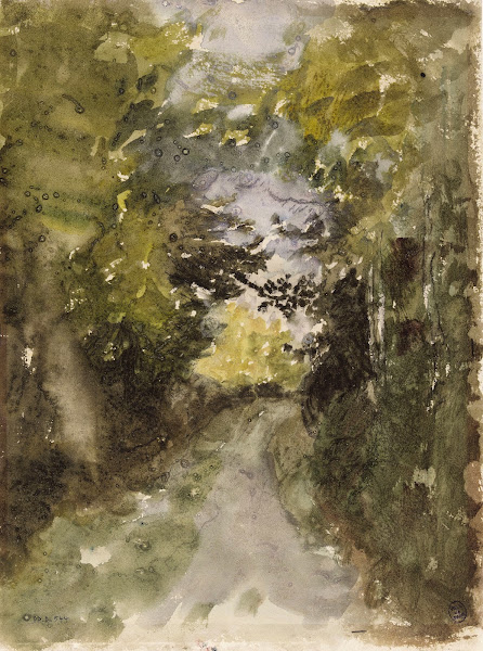 Route en forêt