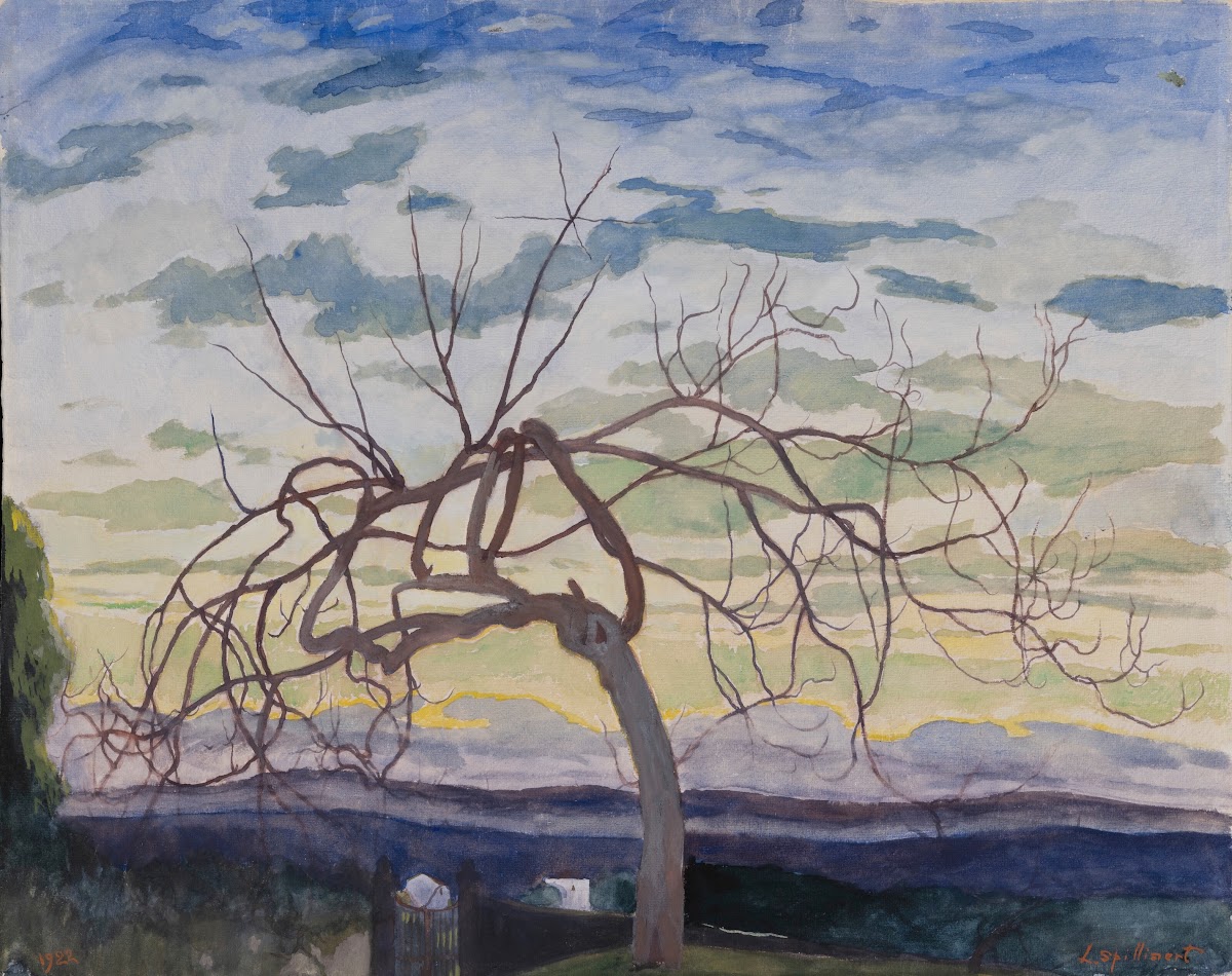 Vijgenboom in de winter Grasse 1922