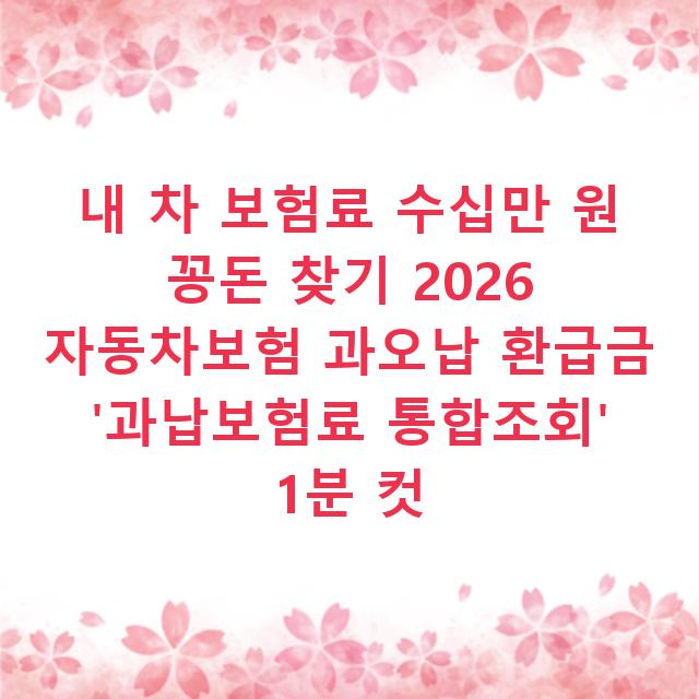 내 차 보험료 수십만 원 꽁돈 찾기 2026 자동차보험 과오납 환급금 ‘과납보험료 통합조회’ 1분 컷