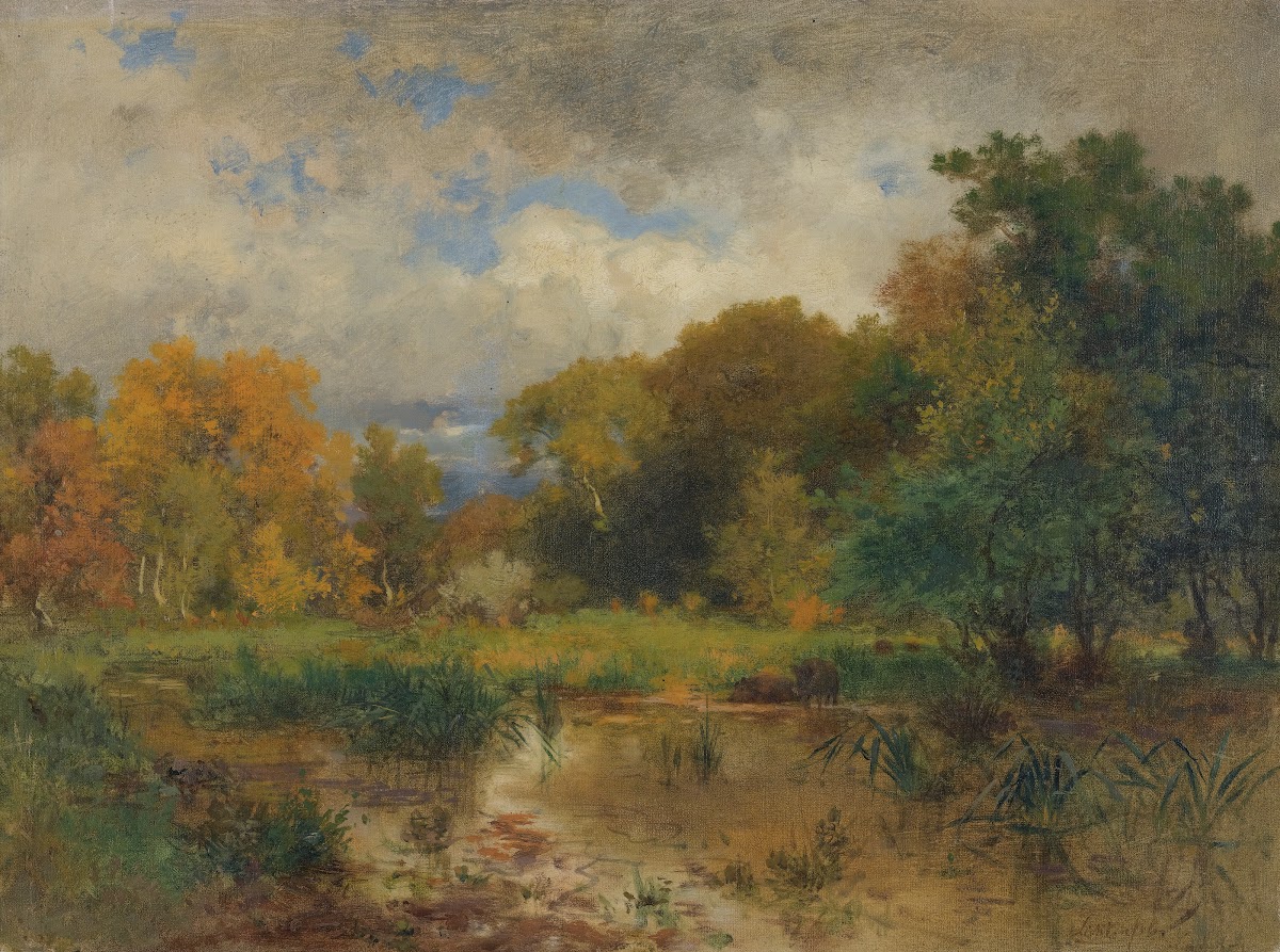 River Landscape Near Lundenburg