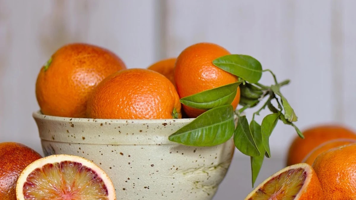 공복혈당과 식후 2시간 혈당 정상범위 비교와 관리 전략