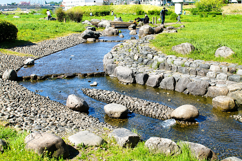 兵庫島公園のようす