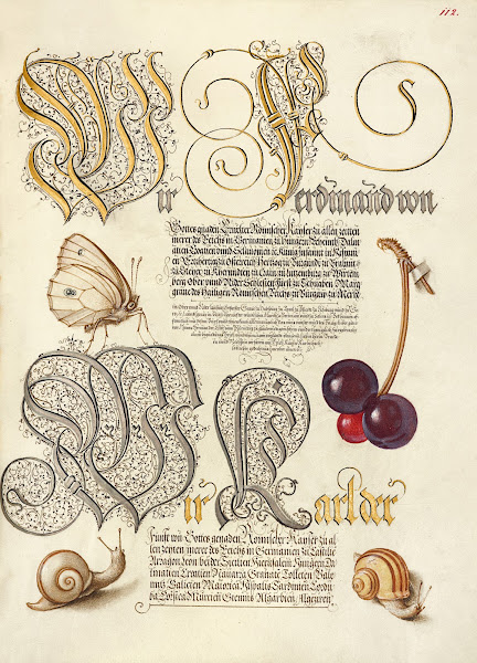 Butterfly Sweet Cherry and Land Snails 15611596