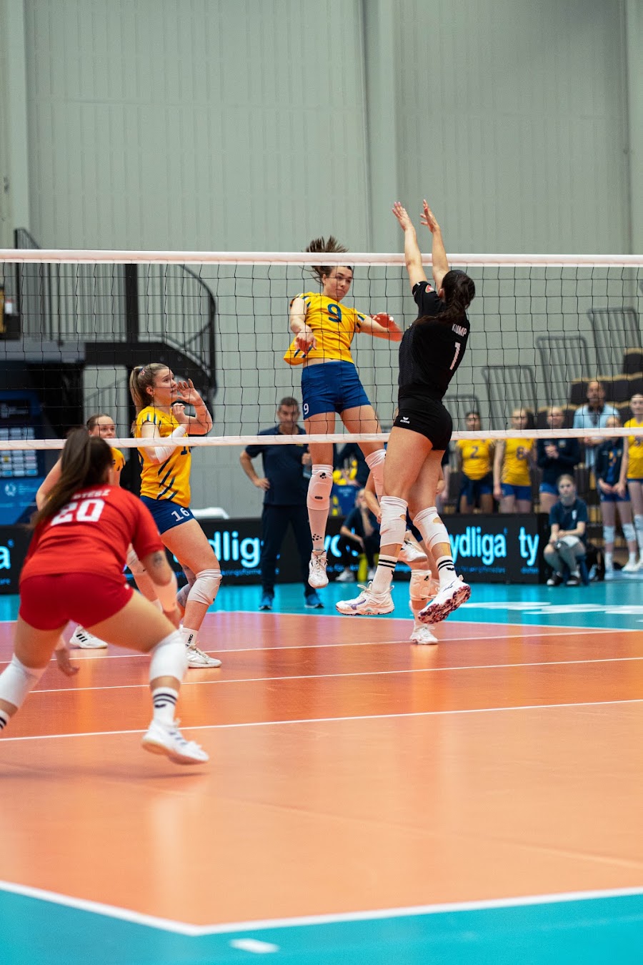 Sweden Hungary 237