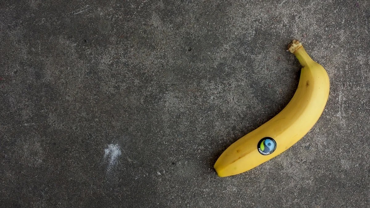 주요 무역분쟁 사례별 관세 인상 대응 전략과 정책 변화